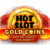 Hot Slot: Gold Coins slot