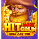 Hit More Gold! slot review