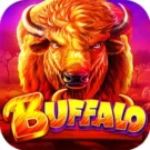 Buffalo Pokie Review