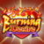 Burning Desire Pokie Review