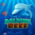 Dolphin Reef Pokie Review