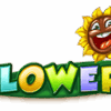 Flowers Pokie Review