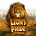 Lions Pride Pokie Review
