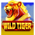 Wild Tiger Slot Review