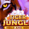 Tiger Jungle Hold and Win Slot Review